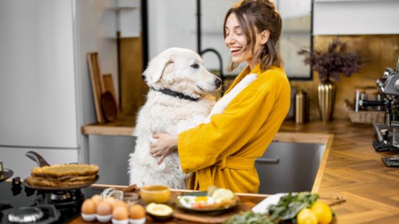 Reasons why your dog is afraid when you cook